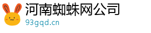 河南蜘蛛网公司